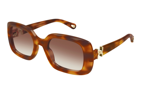 Lunettes de soleil Chloé CH0333S 003