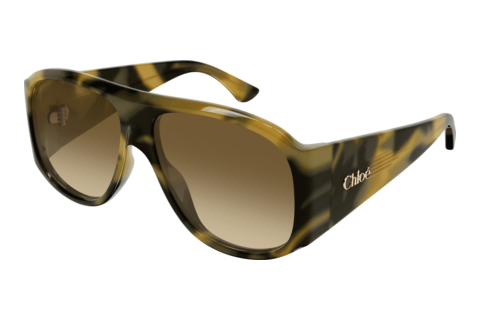 Lunettes de soleil Chloé CH0347S 005