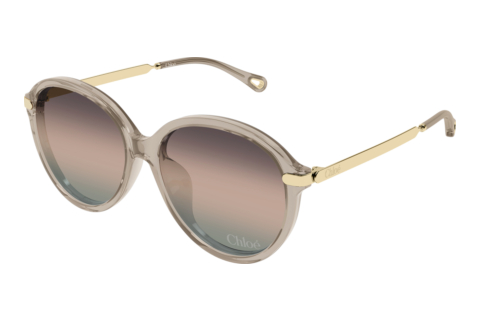 Lunettes de soleil Chloé CH0358SK 005