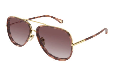 Lunettes de soleil Chloé CH0382S 004