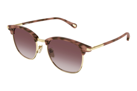 Lunettes de soleil Chloé CH0384S 004