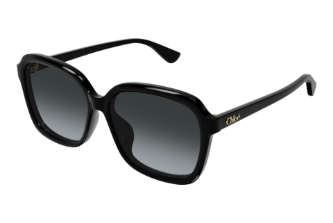 Lunettes de soleil Chloé CH0390SK 001