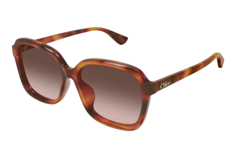 Lunettes de soleil Chloé CH0390SK 002