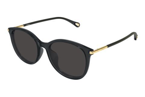 Lunettes de soleil Chloé CH0397SK 001