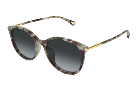 Lunettes de soleil Chloé CH0397SK 004