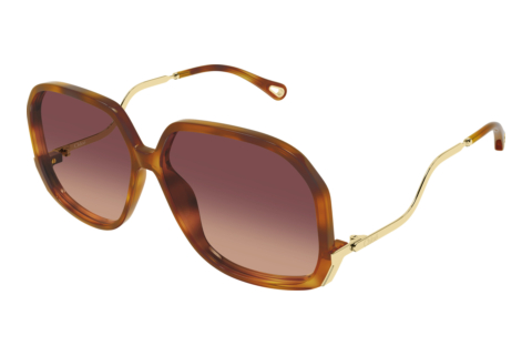 Lunettes de soleil Chloé CH0404S 001