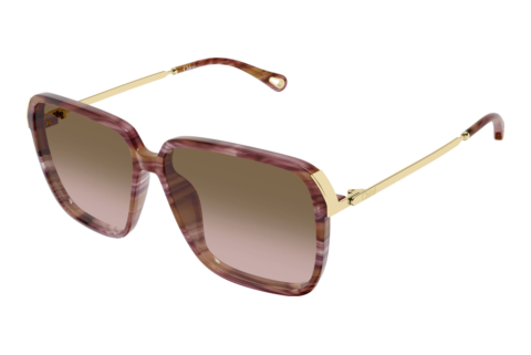 Lunettes de soleil Chloé CH0405S 002