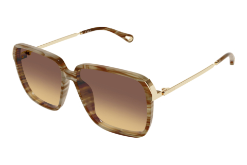 Lunettes de soleil Chloé CH0405S 004