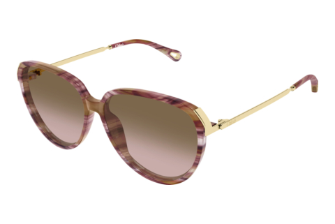 Lunettes de soleil Chloé CH0406S 002
