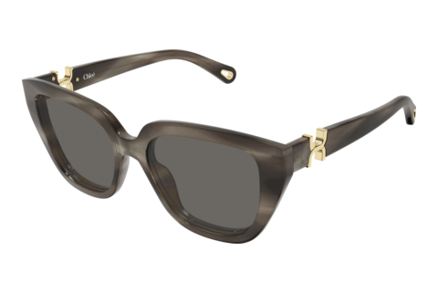 Lunettes de soleil Chloé CH0410S 002