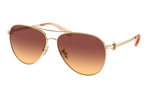 Lunettes de soleil Coach C6178 (HC7128 900578)