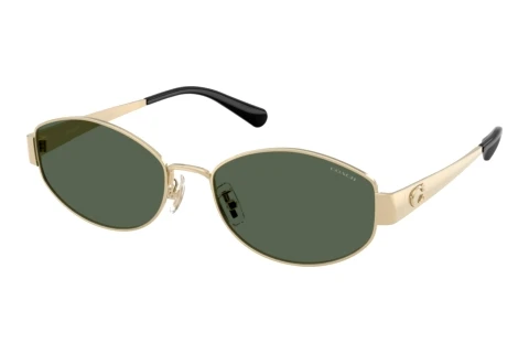 Lunettes de soleil Coach CDP44 (HC7192D 900571)