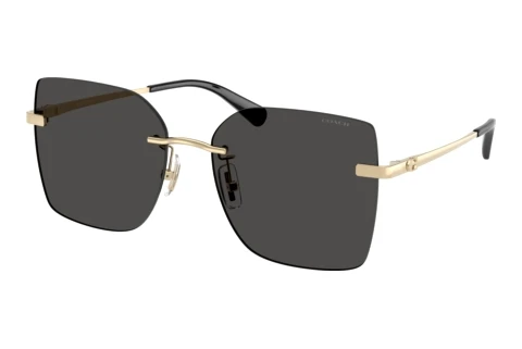 Lunettes de soleil Coach CDP45 (HC7193D 900587)
