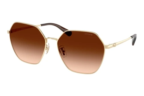 Lunettes de soleil Coach CFU05 (HC7194 900574)