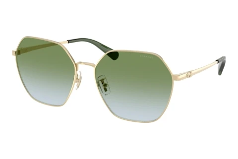 Lunettes de soleil Coach CFU05 (HC7194 9005I7)