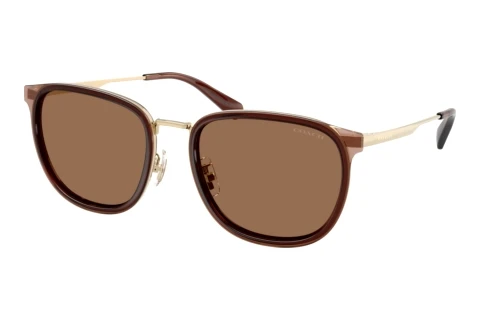 Lunettes de soleil Coach CFU13 (HC7195 947473)