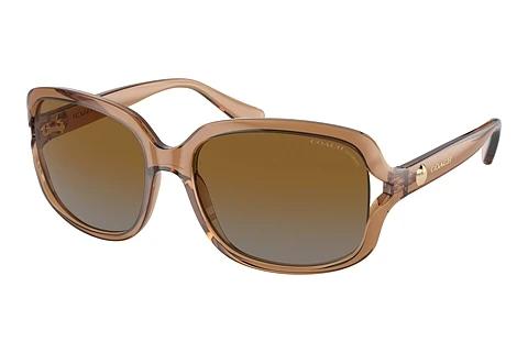 Lunettes de soleil Coach L149 (HC8169 5561T5)