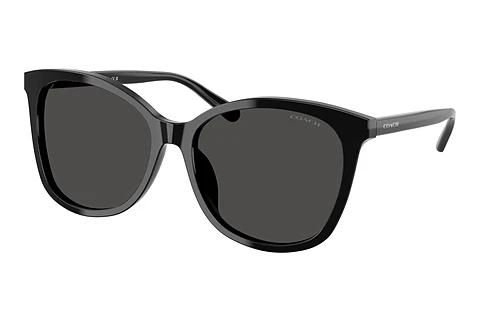 Lunettes de soleil Coach L1101 (HC8271U 500287)