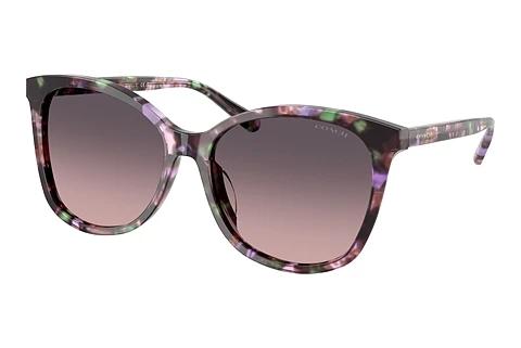 Lunettes de soleil Coach L1101 (HC8271U 584346)