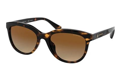 Lunettes de soleil Coach L1137 (HC8285U 5120T5)