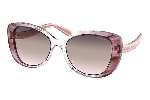Lunettes de soleil Coach C6183 (HC8322 5656U8)