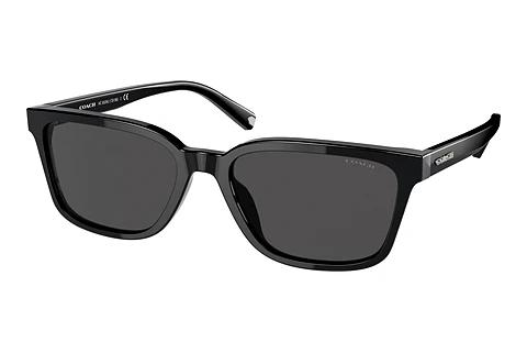 Lunettes de soleil Coach C6196 (HC8328U 500287)