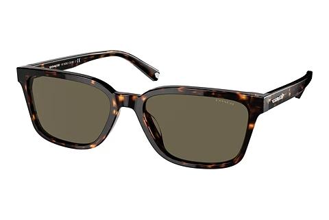Lunettes de soleil Coach C6196 (HC8328U 512003)