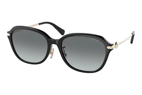 Lunettes de soleil Coach C6199 (HC8332D 500211)