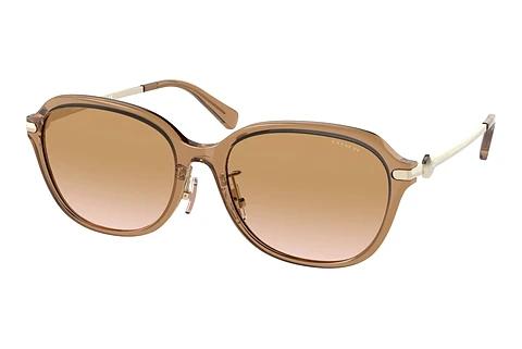 Lunettes de soleil Coach C6199 (HC8332D 565413)