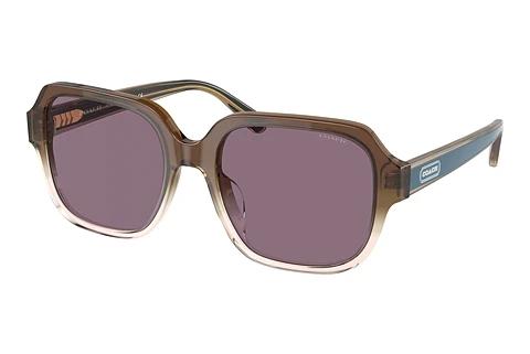 Lunettes de soleil Coach C7989 (HC8335U 56781A)