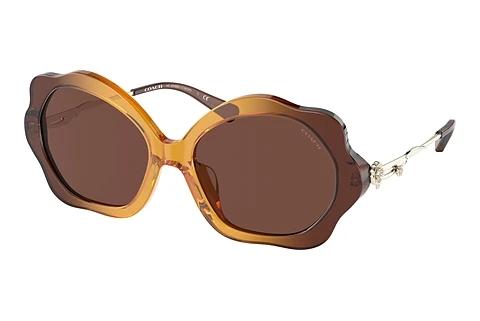 Lunettes de soleil Coach C9200 (HC8346BU 57016G)