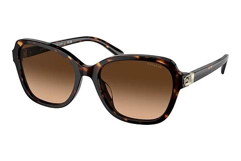 Lunettes de soleil Coach CD481 (HC8349U 512074)