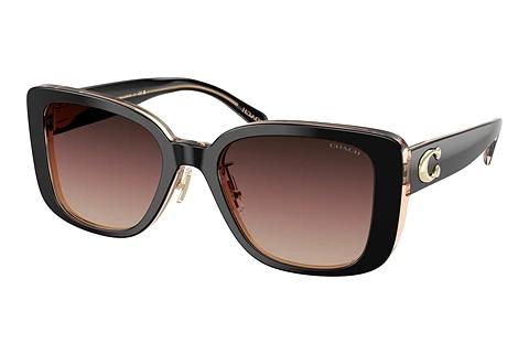 Lunettes de soleil Coach CD472 (HC8352 5781E2)