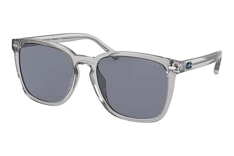 Lunettes de soleil Coach CD458 (HC8354U 571855)