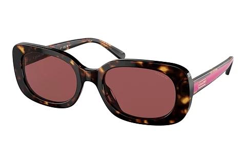 Lunettes de soleil Coach CD471 (HC8358U 512069)