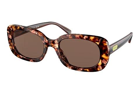 Lunettes de soleil Coach CD471 (HC8358U 571173)