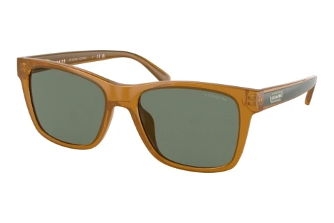 Lunettes de soleil Coach CD455 (HC8359U 52513H)