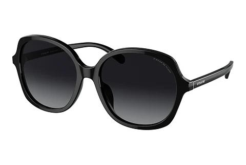 Lunettes de soleil Coach CH557 (HC8360U 5002T3)