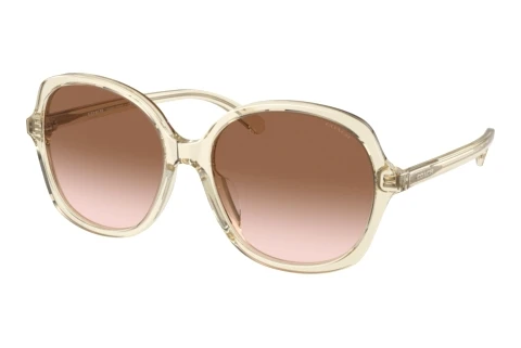 Lunettes de soleil Coach CH557 (HC8360U 573613)