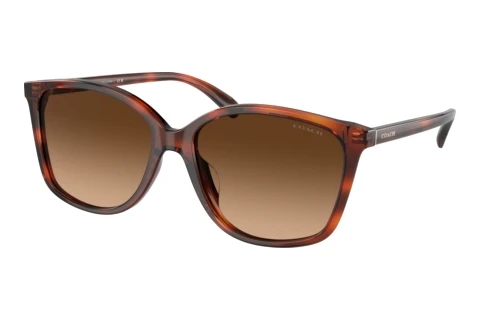 Lunettes de soleil Coach CH558 (HC8361U 574174)