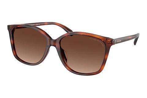 Lunettes de soleil Coach CH558 (HC8361U 5741T5)