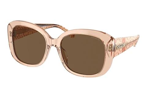 Lunettes de soleil Coach CH564 (HC8363U 556173)