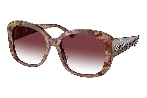 Lunettes de soleil Coach CH564 (HC8363U 57398H)