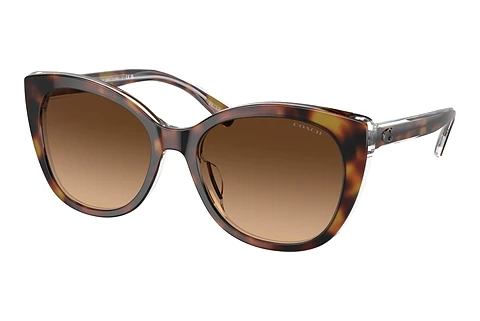 Lunettes de soleil Coach CH566 (HC8365U 574274)