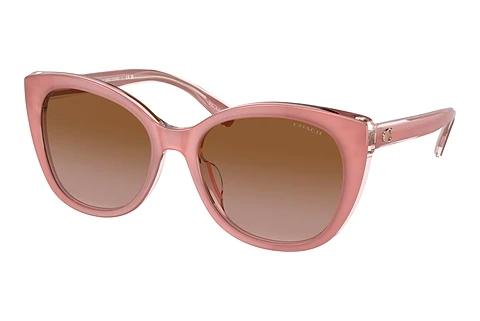 Lunettes de soleil Coach CH566 (HC8365U 574313)