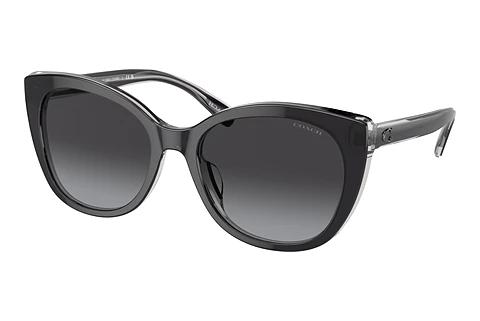 Lunettes de soleil Coach CH566 (HC8365U 57458G)