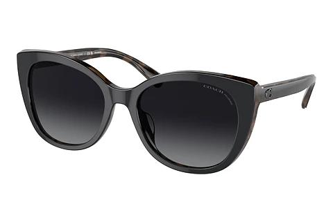 Lunettes de soleil Coach CH566 (HC8365U 5764T3)