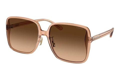 Lunettes de soleil Coach CH572 (HC8368D 556174)