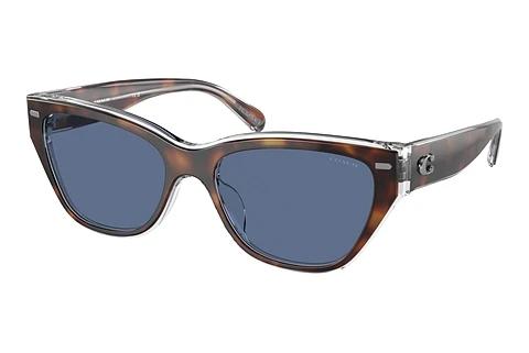 Lunettes de soleil Coach CH570 (HC8370U 574280)