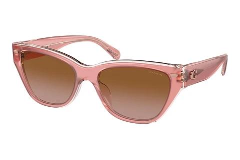 Lunettes de soleil Coach CH570 (HC8370U 574313)